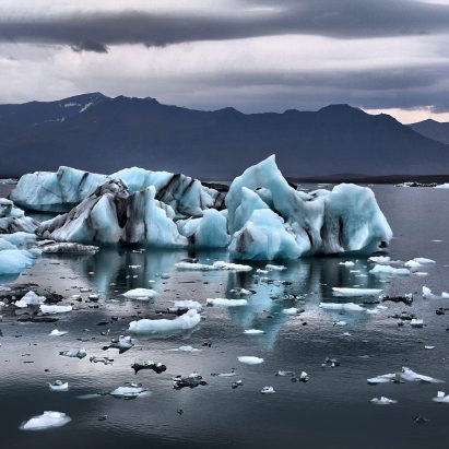 UK architecture practices declare climate and biodiversity emergency