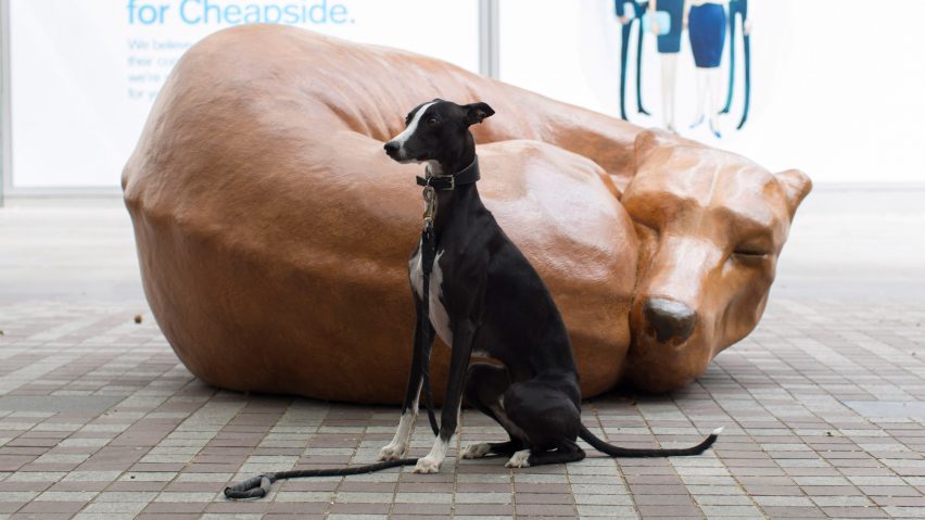 Whippet Good by Delve Architects with DragonSmoke Construction