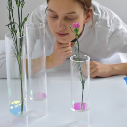 Ten emerging Polish designers at this year’s Łódź Design Festival