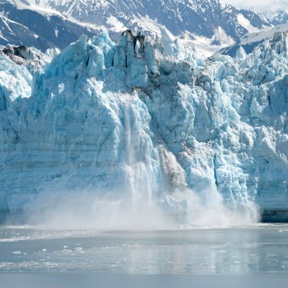 RIBA declares climate emergency saying it's architectures "biggest challenge"