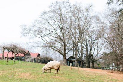 Serenbe development in Georgia