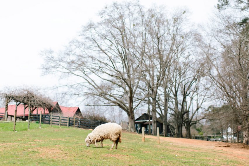 Serenbe development in Georgia