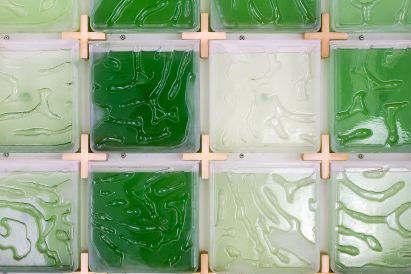 Hyunseok An The Coral algae farm
