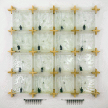Hyunseok An The Coral algae farm