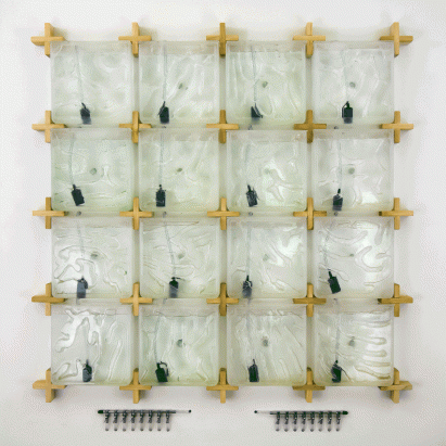 Hyunseok An The Coral algae farm