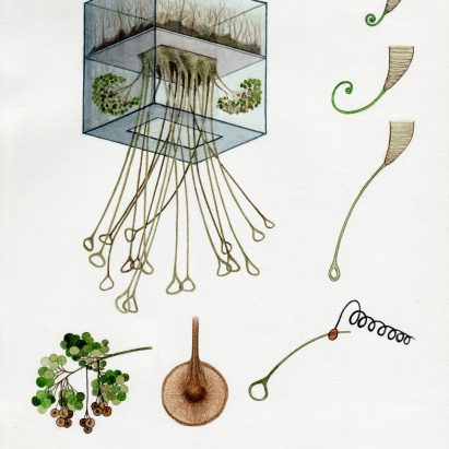 Alexandra Daisy Ginsberg Better Nature exhibition