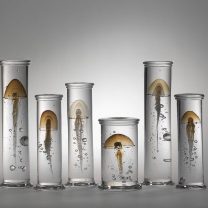 Summer architecture and design exhibitions 2019