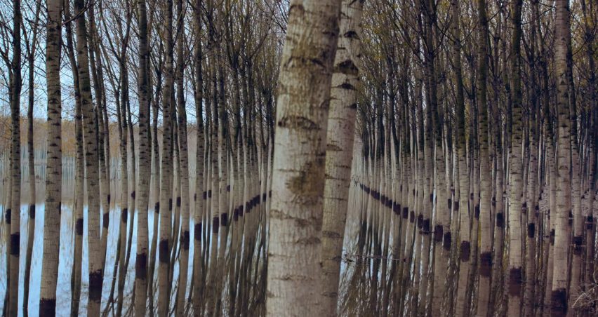 Dezeen promotions: Ceramics of Italy video