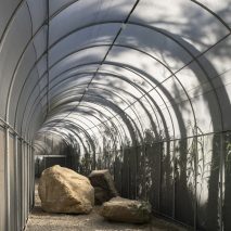 The Forest BIG by Divooe Zein Architects