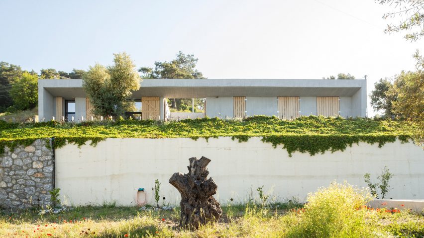 Goat House by Talin Architectural Design