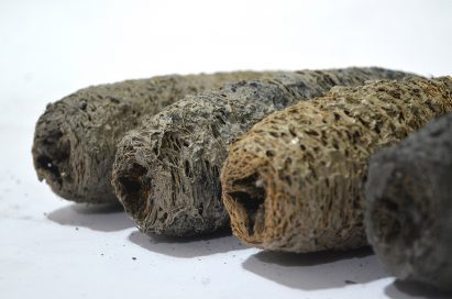 Green Charcoal bio-brick by Indian School of Design and Innovation Mumbai