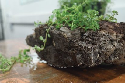 Green Charcoal bio-brick by Indian School of Design and Innovation Mumbai