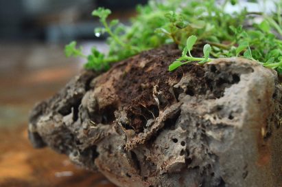 Green Charcoal bio-brick by Indian School of Design and Innovation Mumbai