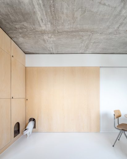 Sacha apartment by SABO Project