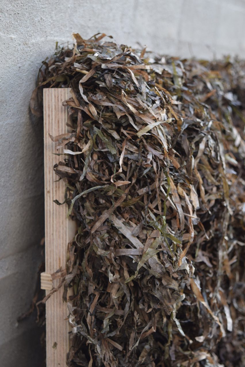 Seaweed Thatch Reimagined by Kathryn Larsen