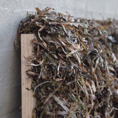Seaweed Thatch Reimagined by Kathryn Larsen