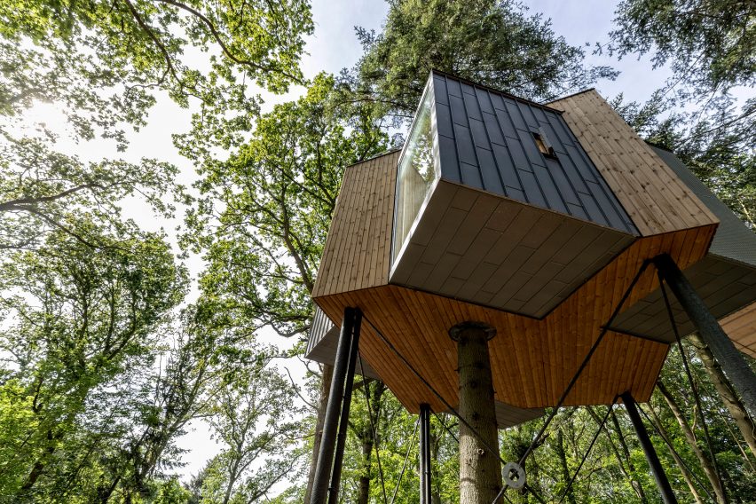 Treetop hotel cabin for Løvtag by Sigurd Larsen