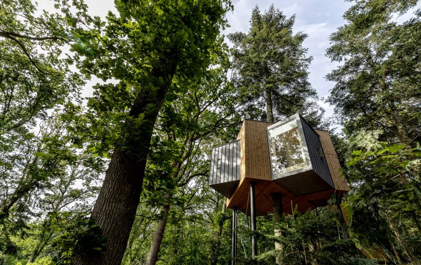 Treetop hotel cabin for Løvtag by Sigurd Larsen