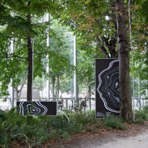 Symbiosia installation by Thijs Biersteker and Stefano Mancuso