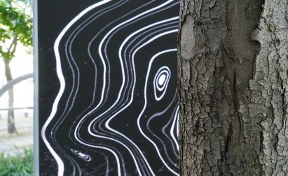 Symbiosia installation by Thijs Biersteker and Stefano Mancuso