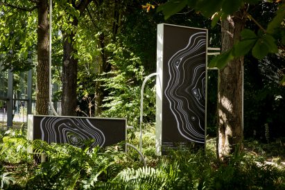 Symbiosia installation by Thijs Biersteker and Stefano Mancuso