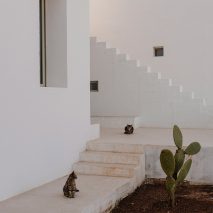 Villa Cardo by Studio Andrew Trotter