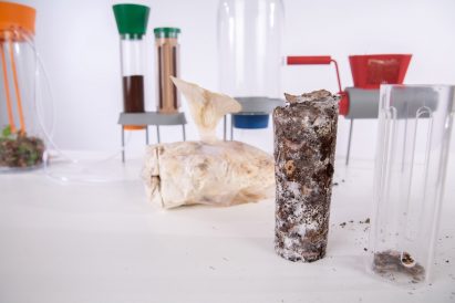Jamie Pybus Fungi Factory mushroom coffee grounds