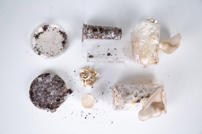 Jamie Pybus Fungi Factory mushroom coffee grounds