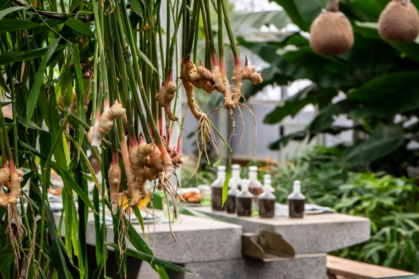Babylonstoren Spice Garden by Malherbe Rust Architects