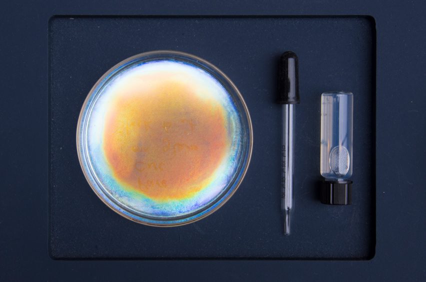 Bio Iridescent Sequin by Elissa Brunato
