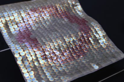 Bio Iridescent Sequin by Elissa Brunato