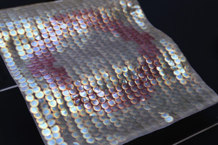 Bio Iridescent Sequin by Elissa Brunato