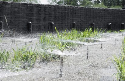 Borden Park Natural Swimming Pool by gh3*