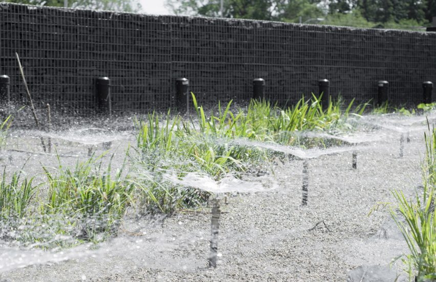 Borden Park Natural Swimming Pool by gh3*