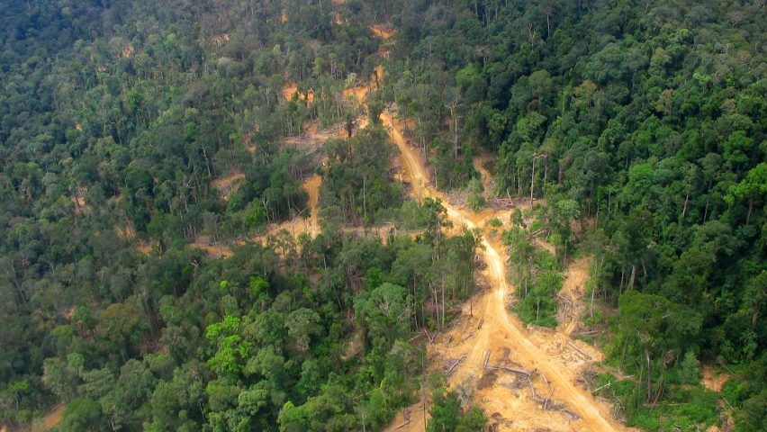 East Kalimantan in Borneo, site of the new capital