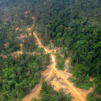 East Kalimantan in Borneo, site of the new capital