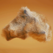 The Cunning Little Vixen by Superunion and Esteban Diacono