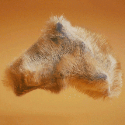 The Cunning Little Vixen by Superunion and Esteban Diacono