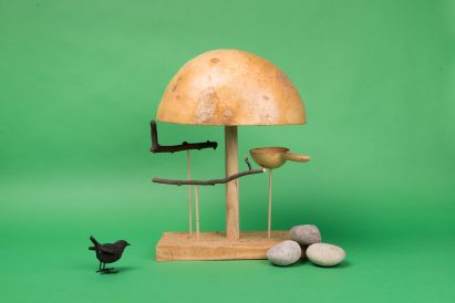 Interactive Design Studio animal habitats