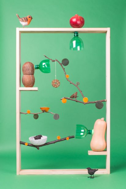 Interactive Design Studio animal habitats