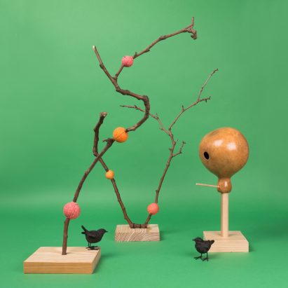 Interactive Design Studio animal habitats