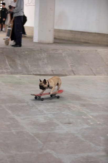 Southbank Undercroft Skate Space by Feilden Clegg Bradley Studios
