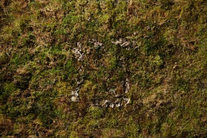 Vollebak's t-shirt made entirely from plants and algae becomes "worm food" in 12 weeks