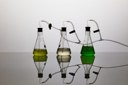 Vollebak's t-shirt made entirely from plants and algae becomes "worm food" in 12 weeks