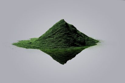 Vollebak's t-shirt made entirely from plants and algae becomes "worm food" in 12 weeks
