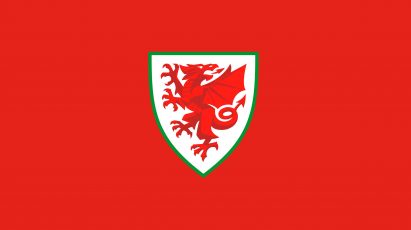 Football Association of Wales unveils new visual identity featuring simplified dragon logo