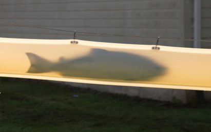 Whooshh Passage Portal fish tube