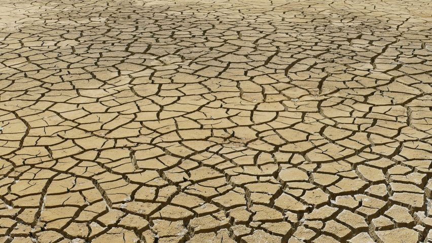 AIA makes climate crisis “top priority”