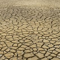 AIA makes climate crisis “top priority”