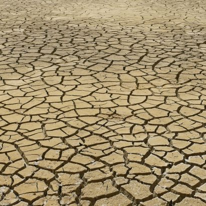 AIA makes climate crisis “top priority”